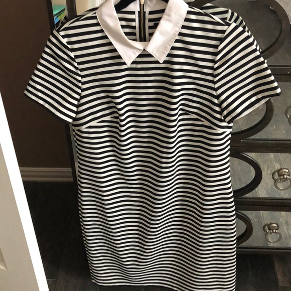 tommy hilfiger black dress with white collar